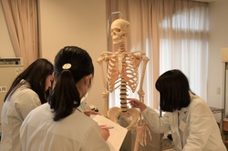 20190411_解剖生理学実習_DSC_0040.JPG